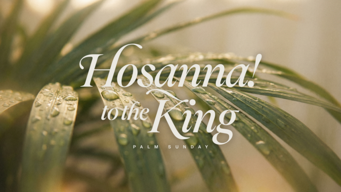 Hosanna To The King