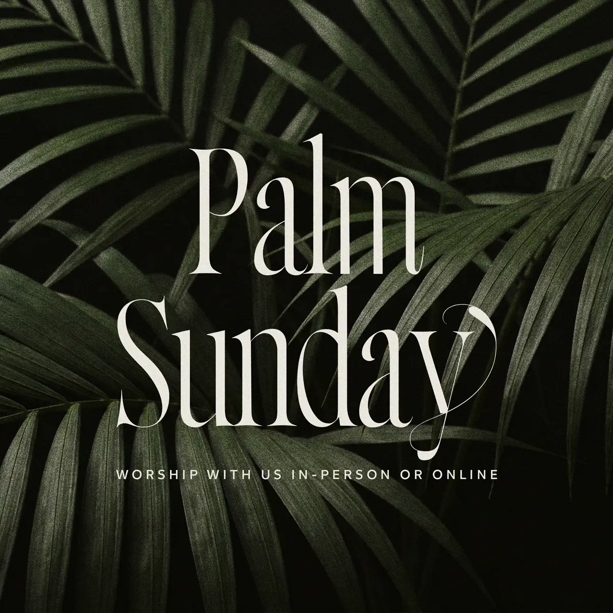 palm_sunday-dark