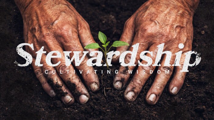Stewardship
